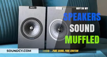 Muffled Speakers: Troubleshooting Your Audio Setup