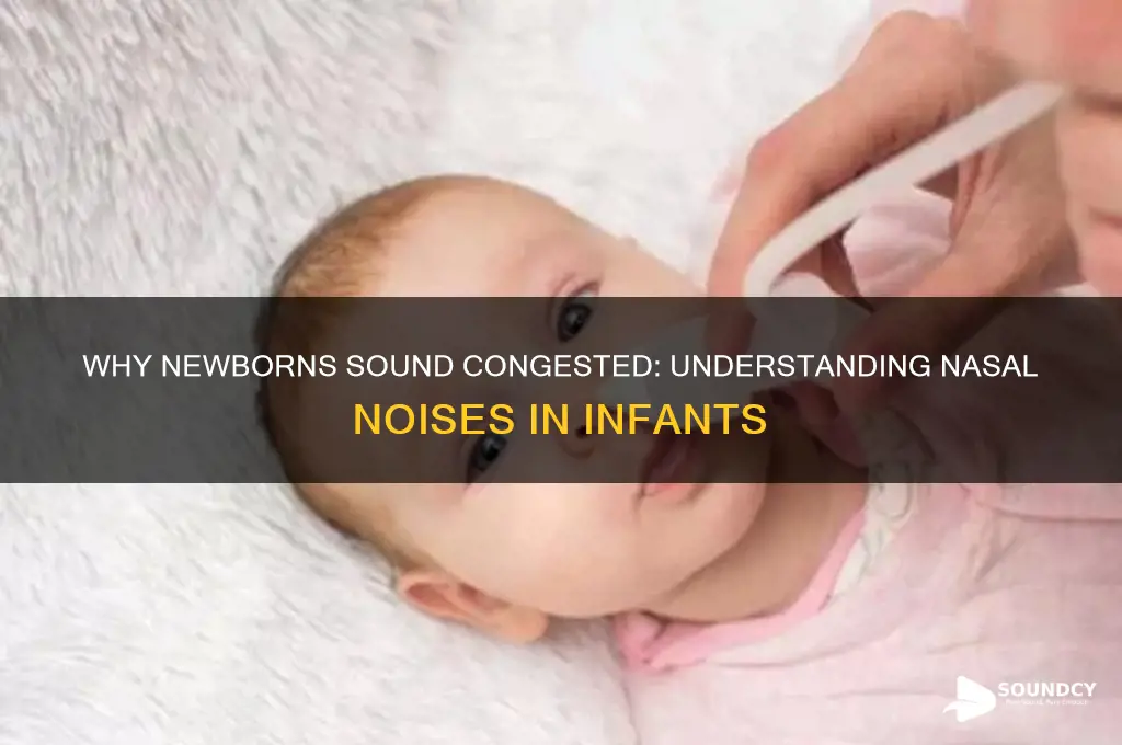 why do newborns sound congested