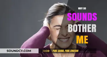 Why Do Sounds Bother Me? Understanding Misophonia and Sensory Sensitivity