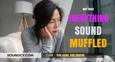 Why Does Everything Sound Muffled? Unraveling the Mystery Behind It
