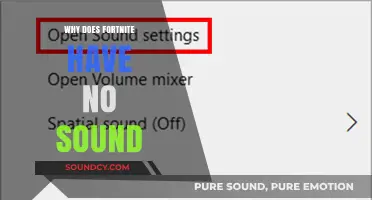 Fortnite's Audio Issues: What's the Deal?