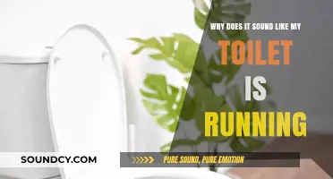 Why Your Toilet Sounds Like It's Running: Causes and Fixes