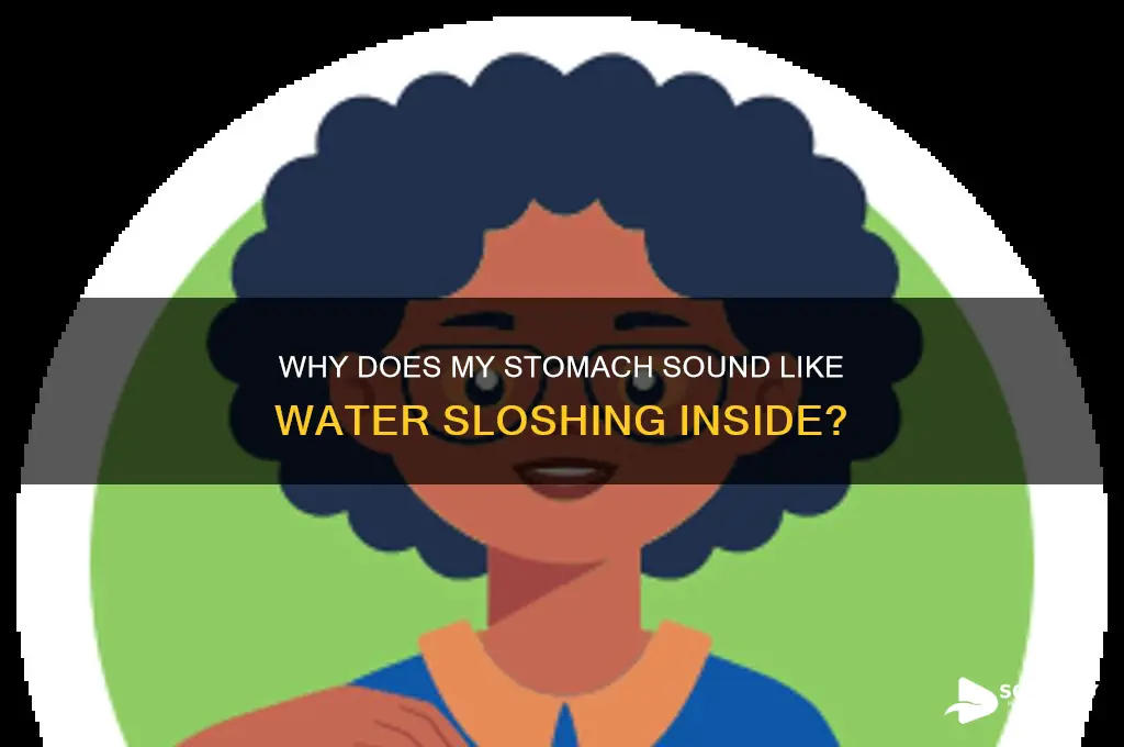 why does it sound like water in my stomach