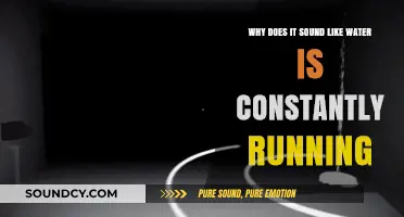 Why Does It Sound Like Water is Constantly Running in My Home?
