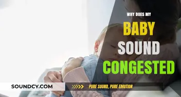Understanding Your Baby's Congestion: Causes and Cures