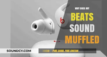 Muffled Beats: How to Fix Your Sound