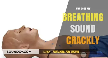 Breathing and Crackling: What Does it Mean?