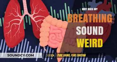 Breathing Sounds: What's Normal and What's Not