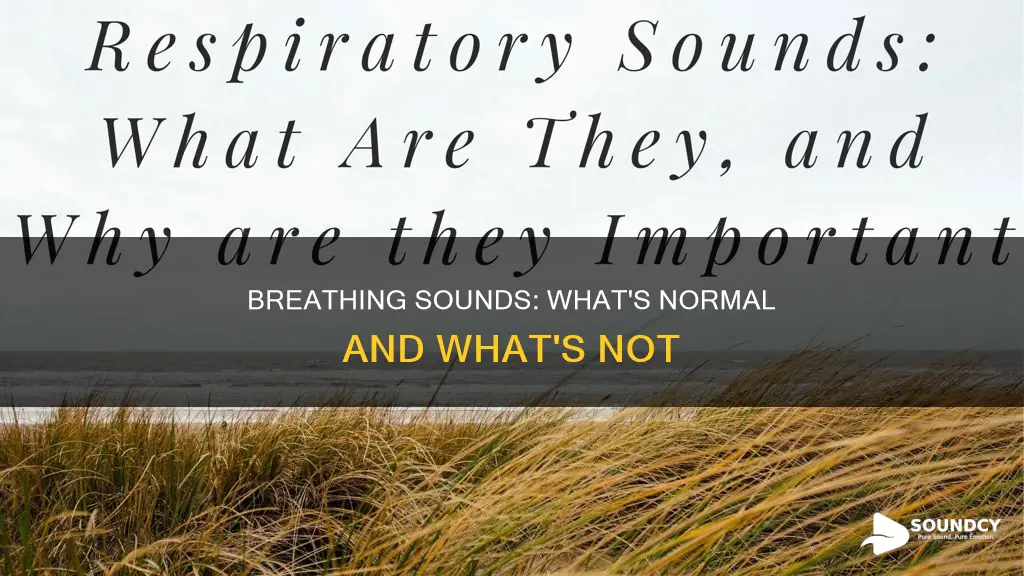 why does my breathing sound weird