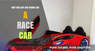 Why Your Car Sounds Like a Race Car: Common Causes Explained