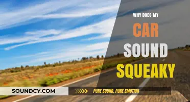 Troubleshoot Your Squeaky Car: What You Need to Know