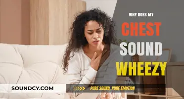 Chest Wheezes: What's the Cause?