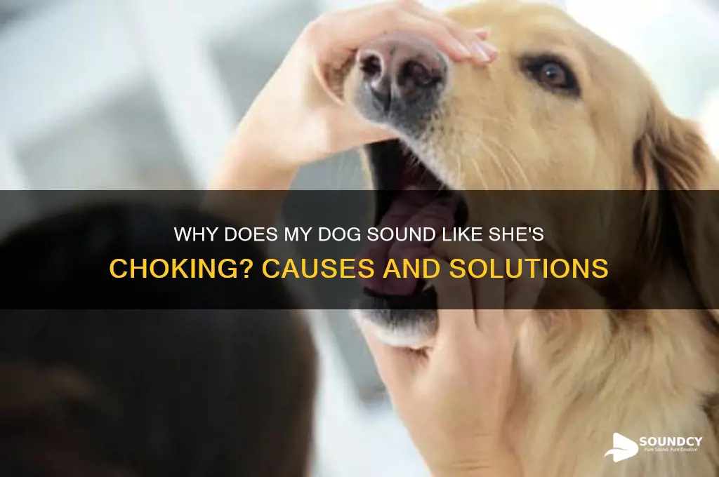 why does my dog sound like she