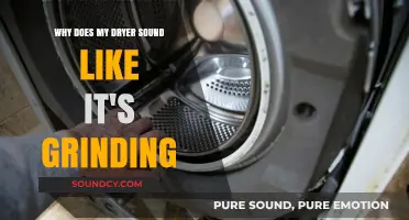 Why Your Dryer Makes Grinding Noises: Causes and Fixes