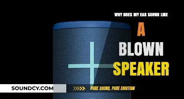 Why Your Ear Sounds Like a Blown Speaker: Causes and Solutions