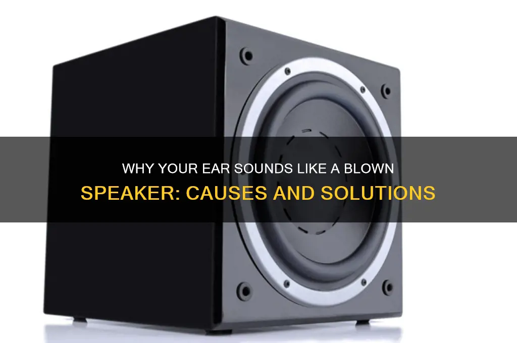 why does my ear sound like a blown speaker