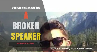Why Does My Ear Sound Like a Broken Speaker? Causes and Solutions