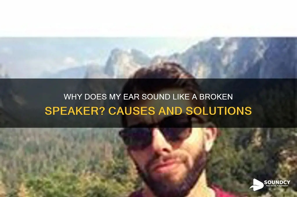 why does my ear sound like a broken speaker