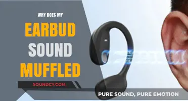 Muffled Earbuds: What's the Issue?
