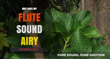 Flute Maintenance: Air Leaks and Solutions