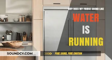 Why Your Fridge Sounds Like Running Water: Causes and Fixes