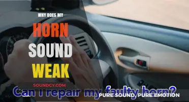 Troubleshooting a Weak Car Horn: What You Need to Know