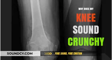 Knee Noises: Why Your Joints Sound Crunchy