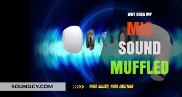Fixing Muffled Microphone: Tips and Tricks