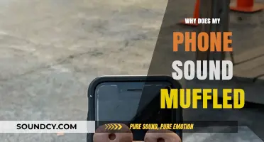 Muffled Phone Calls: Why and How to Fix It