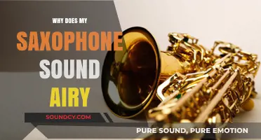 Saxophone sounding airy? Check your embouchure and reed