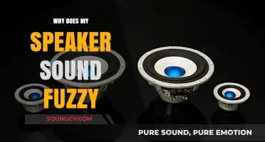 Troubleshooting Fuzzy Speakers: What's the Issue?