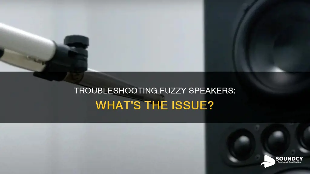 why does my speaker sound fuzzy