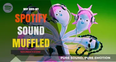 Spotify Audio Issues: Muffled Sounds Explained