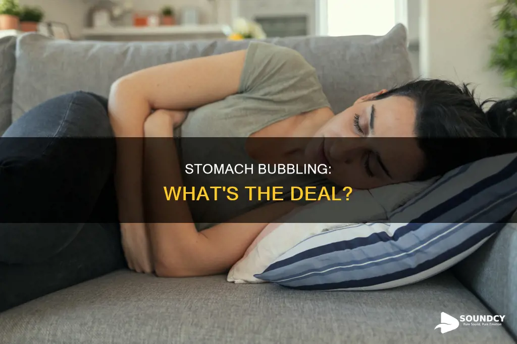 why does my stomach sound bubbly