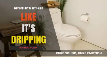 Why Your Toilet Sounds Like It's Dripping: Causes and Fixes