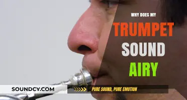 Troubleshoot an Airy Trumpet: Finding the Right Tone