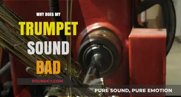 Troubleshooting Trumpet: Why Do I Sound So Bad?