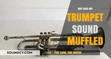 Unleash Your Trumpet's True Sound