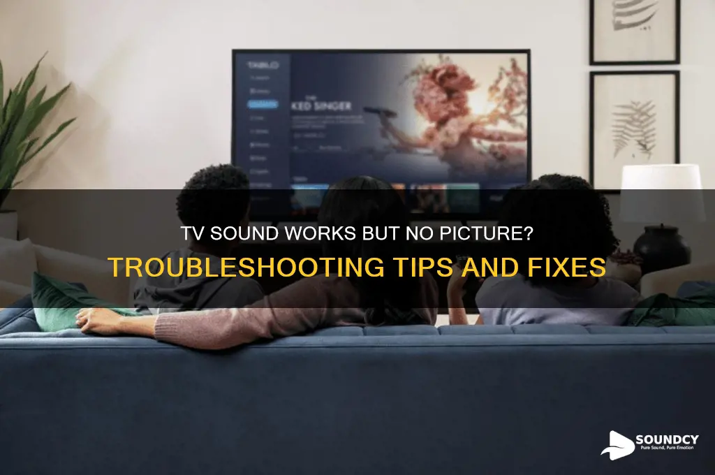 why does my tv have no picture but sound