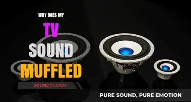 Fixing Muffled TV Sound: Troubleshooting Guide