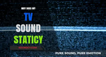 Static TV Sound: Troubleshooting Guide