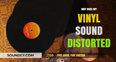 Troubleshooting Vinyl: Distorted Sounds Explained