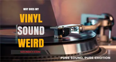 Strange Vinyl Sounds: What's the Issue?