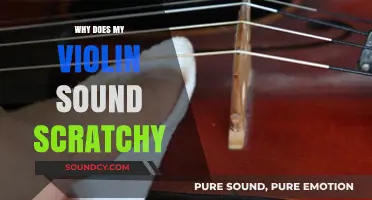 Fixing a Scratchy Violin: How to Get a Smooth Sound
