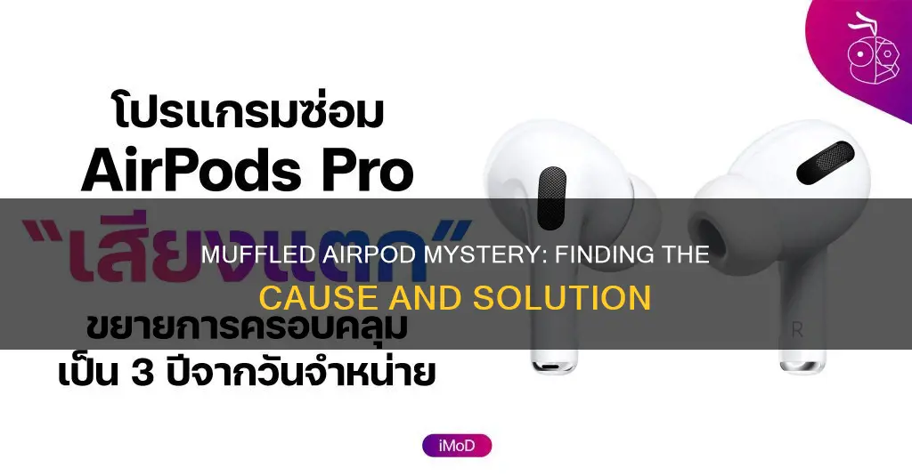 why does one airpod sound muffled