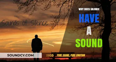 The Sound of Silence: An Exploration