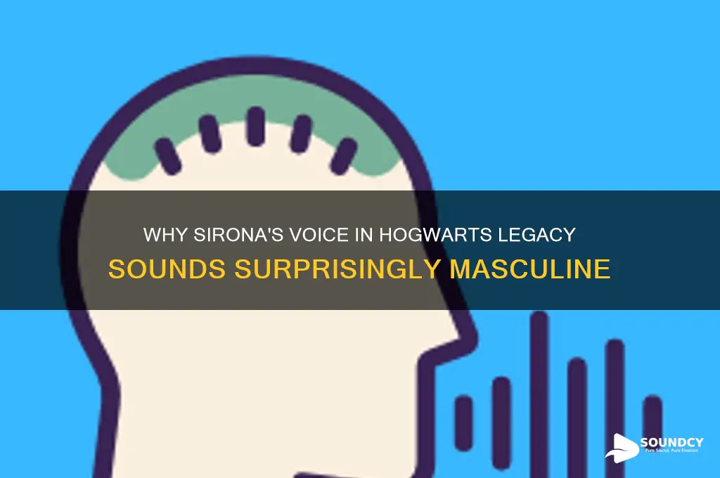 why does sirona sound like a man hogwarts legacy