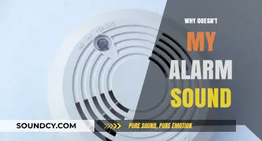 Alarms Failing to Sound Off: Troubleshooting Guide