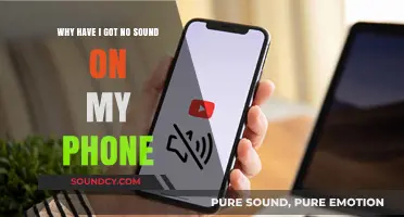 Why Is My Phone Silent? Troubleshooting No Sound Issues