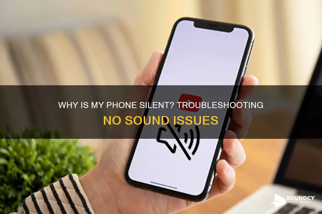 why have i got no sound on my phone